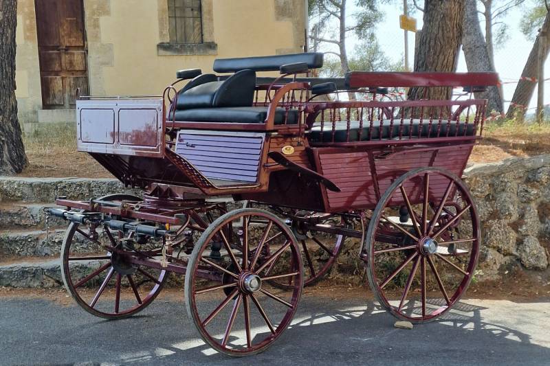 Tour en calèche pour évènements sur le thème médiéval à Marseille