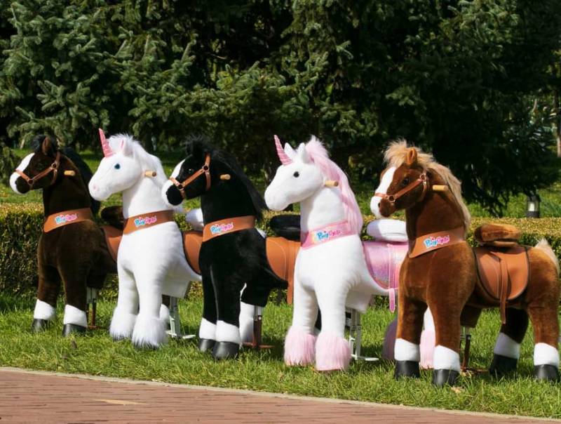 Animation petit poney pour pack enfant à Marseille et AIX EN PROVENCE